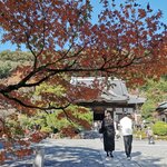 IMG_20231127_122029