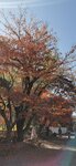 IMG_20231127_122231