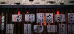 IMG_20231127_191632