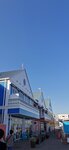 IMG_20231128_135944
