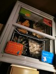 IMG_20231129_213800
