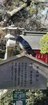 IMG_20231130_104006