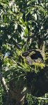 IMG_20231130_105921
