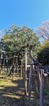 IMG_20231130_105931