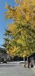 IMG_20231130_112621