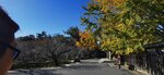 IMG_20231130_112637