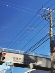 IMG_20231130_135157