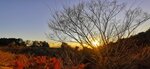 IMG_20231130_161533