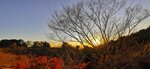 IMG_20231130_161535