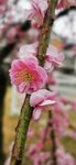 IMG_20230224_105153