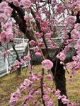 IMG_6869