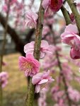 IMG_6873