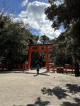 IMG_8123