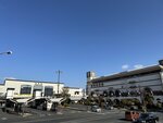 IMG_8206