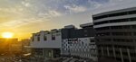 IMG_20230304_065728