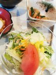 IMG_20230304_072215