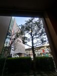 IMG_20230304_081531