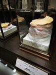 IMG_20230304_140548