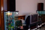 2010cny_022
