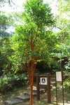 The camp site entry is in the park