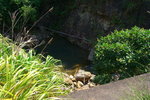 Try to get into the stream which just under the bridge.