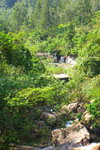 ChauFungSK183