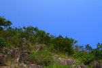 Blue sky