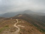 CheungTsu_15