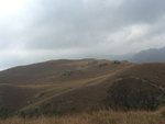 CheungTsu_29