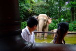 disneyland_051