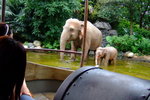 disneyland_052