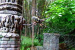 disneyland_054