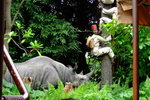 disneyland_058