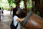 disneyland_085