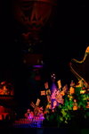 disneyland_100