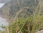 hike_HoiHa22