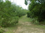 hike_HoiHa37