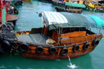 Lamma_007