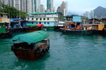 Lamma_008