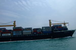 Lamma_012