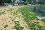 Lamma_020