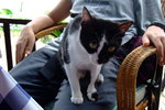 Lamma_032