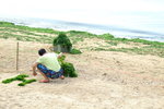 Lamma_044
