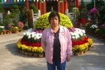 MDayTrip05
