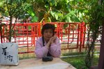 MDayTrip10