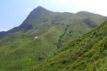 NamShekTsim042