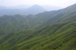 NamShekTsim165