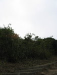psl041