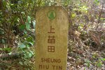 上苗田到了