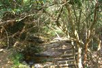 A stream bed.